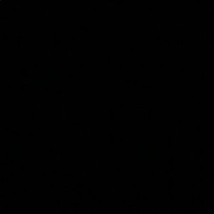 Meet your Posher, Lynn